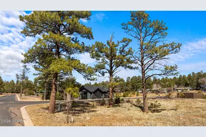1261 S Lakeside Trail, Show Low, AZ 85901 - Photo 12