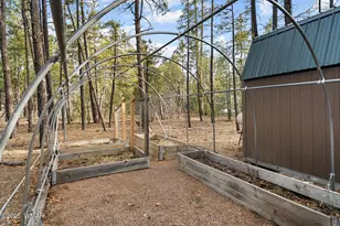 297 Fox Ln, Lakeside, AZ 85929 - Photo 26