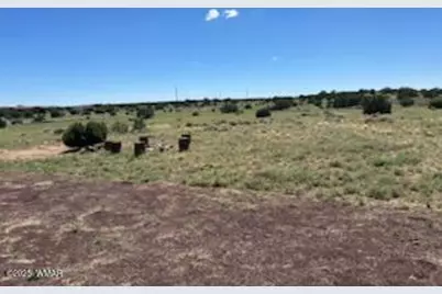 61 Cr 8620, Concho, AZ 85924 - Photo 28