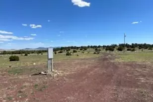 61 Cr 8620, Concho, AZ 85924 - Photo 30