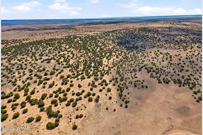 40 Ac Parcel #212-10-020, Concho, AZ 85924 - Photo 4