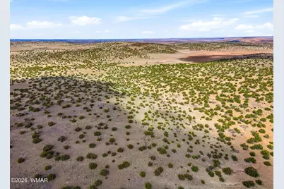40 Ac Parcel #212-10-020, Concho, AZ 85924 - Photo 6