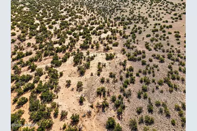 40 Ac Parcel #212-10-020, Concho, AZ 85924 - Photo 8