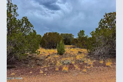 8423 Apache Drive, Show Low, AZ 85901 - Photo 2
