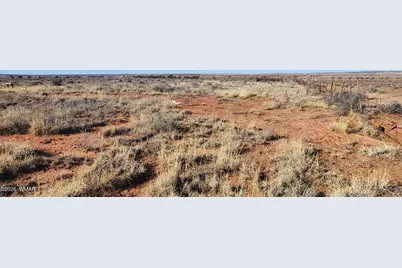 530 Co Road, Concho, AZ 85924 - Photo 16