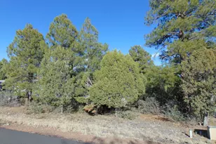 681 S 2nd St, Show Low, AZ 85901 - Photo 1