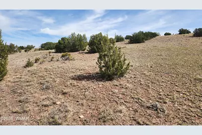 1470 E Concho Highway, Concho, AZ 85924 - Photo 32