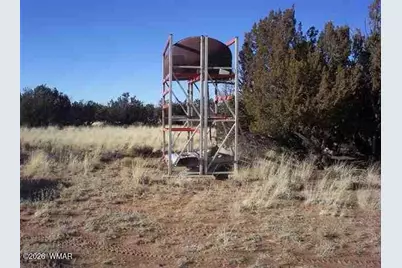 1131 Southwell Road, Heber, AZ 85928 - Photo 6