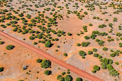 8085 County Road, Concho, AZ 85924 - Photo 1