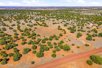 8085 County Road, Concho, AZ 85924 - Photo 4