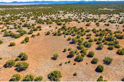 8085 County Road, Concho, AZ 85924 - Photo 8