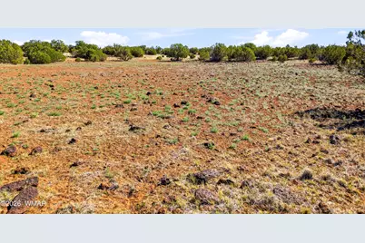 8085 County Road, Concho, AZ 85924 - Photo 6