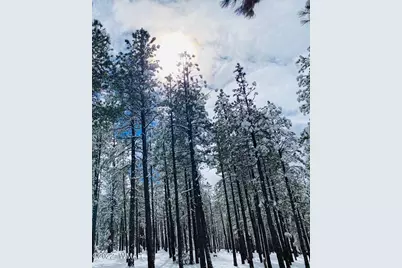 9592 Sierra Springs Drive, Pinetop, AZ 85935 - Photo 12