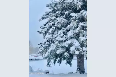 9592 Sierra Springs Drive, Pinetop, AZ 85935 - Photo 8