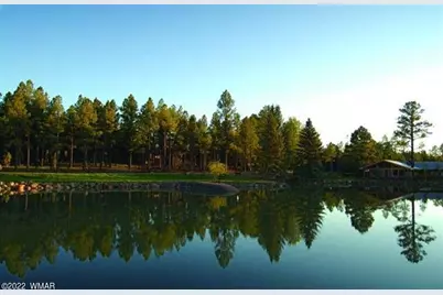 9592 Sierra Springs Drive, Pinetop, AZ 85935 - Photo 4