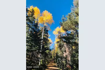 9592 Sierra Springs Drive, Pinetop, AZ 85935 - Photo 10