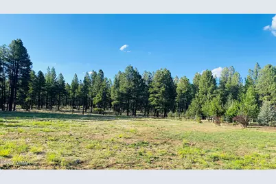 9592 Sierra Springs Drive, Pinetop, AZ 85935 - Photo 2
