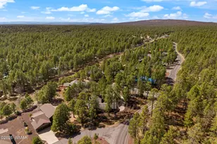 6229 Tonto Trail, Pinetop, AZ 85935 - Photo 36