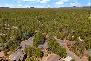 6229 Tonto Trail, Pinetop, AZ 85935 - Photo 34