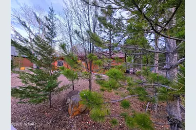 677 Fox Lane, Lakeside, AZ 85929 - Photo 38