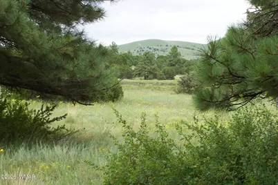 Lot 5 Red Cabin Ranch Unit II, Vernon, AZ 85940 - Photo 4