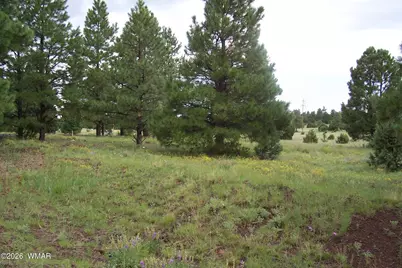 Lot 5 Red Cabin Ranch Unit II, Vernon, AZ 85940 - Photo 10