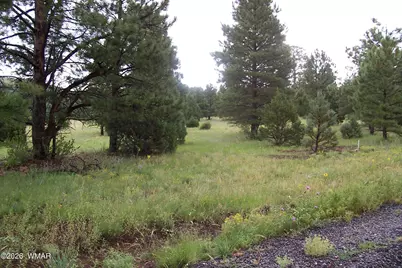 Lot 5 Red Cabin Ranch Unit II, Vernon, AZ 85940 - Photo 12