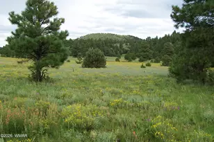 Lot 5 Red Cabin Ranch Unit II, Vernon, AZ 85940 - Photo 1