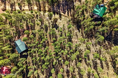 12 W Pergatory Drive, Alpine, AZ 85920 - Photo 12