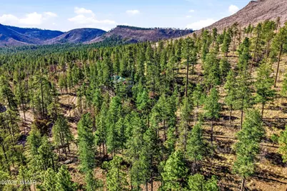 12 W Pergatory Drive, Alpine, AZ 85920 - Photo 14