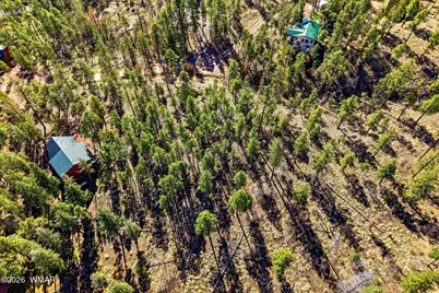 12 W Pergatory Drive, Alpine, AZ 85920 - Photo 10