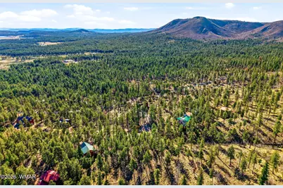 12 W Pergatory Drive, Alpine, AZ 85920 - Photo 18