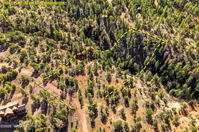 Tbd Cr N2278, Nutrioso, AZ 85932 - Photo 20