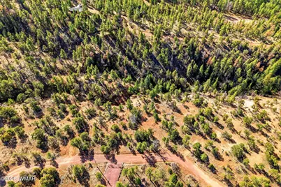 Tbd Cr N2278, Nutrioso, AZ 85932 - Photo 8