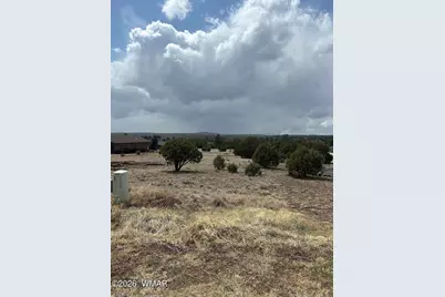 1181 S Lorenzo Sitgreaves Drive, Show Low, AZ 85901 - Photo 4