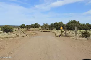 0 Stanley Ln, Saint Johns, AZ 85936 - Photo 1
