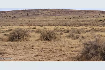 0 Stanley Lane, Saint Johns, AZ 85936 - Photo 6