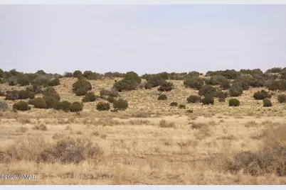 0 Stanley Lane, Saint Johns, AZ 85936 - Photo 2