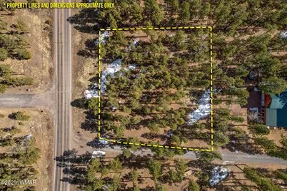 3 N1062, Greer, AZ 85927 - Photo 2