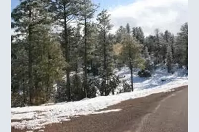 3378 Windy Lane, Heber, AZ 85928 - Photo 1