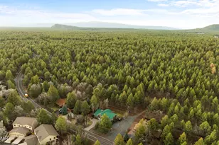 4433 Branding Iron Loop, Pinetop, AZ 85935 - Photo 42