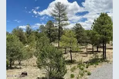 3377 Whisper Lane, Heber, AZ 85928 - Photo 1