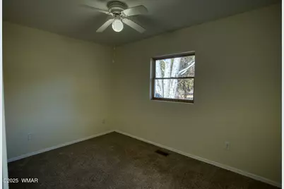 1435 Flag Hollow Road, Lakeside, AZ 85929 - Photo 28