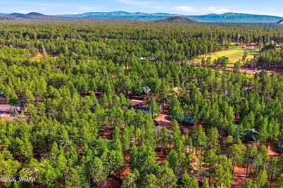 6679 Tall Pine Drive, Pinetop, AZ 85935 - Photo 60
