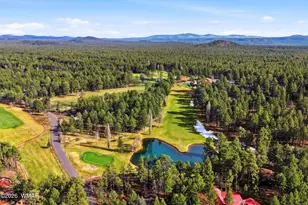 6679 Tall Pine Dr, Pinetop, AZ 85935 - Photo 64