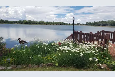 2550 Bald Eagle Point, Lakeside, AZ 85929 - Photo 64