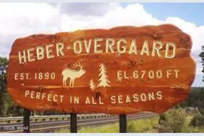 3369 Windy Lane, Heber, AZ 85928 - Photo 4