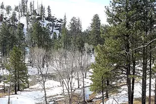 3369 Windy Ln, Heber, AZ 85928 - Photo 1