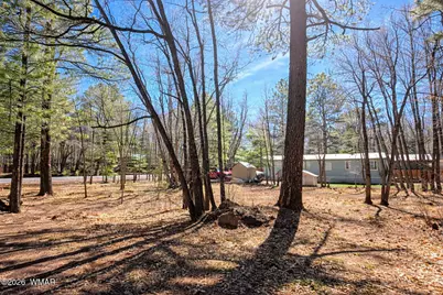 4446 Bucking Horse Trail, Pinetop, AZ 85935 - Photo 4