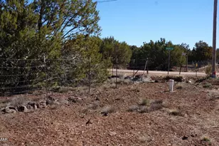 45 County Rd, Vernon, AZ 85940 - Photo 32